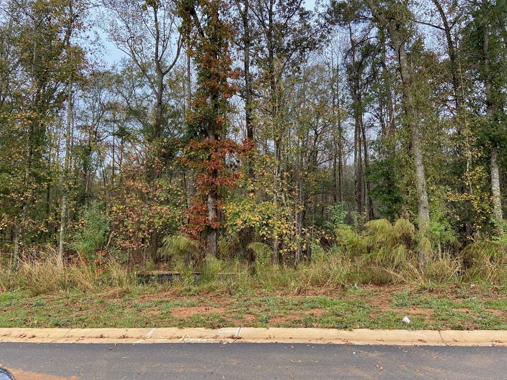 L0t 14 County Line Road, Midland, GA, 31820