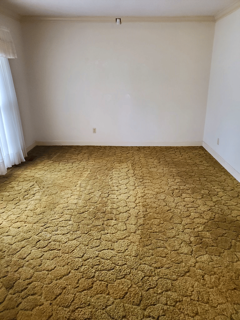 906 Cedar, Albany, GA, 31701