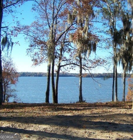 0 Point #lot 2, 3, 4, Georgetown, GA, 39854