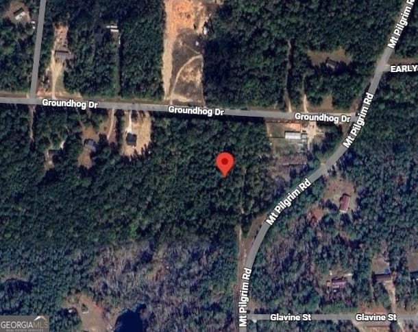 LOT 55 Groundhog, Greenville, GA, 30222