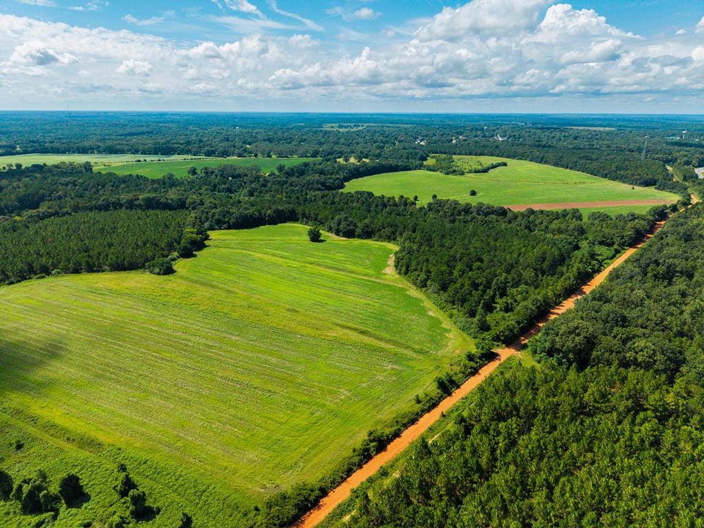 266 +/- AC Loven Mill Rd, Richland, GA, 31825