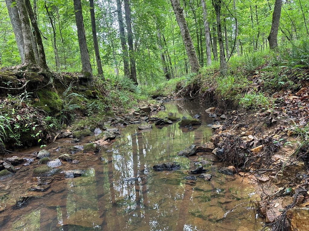 0 Macedonia Church Road, Hamilton, GA, 31811