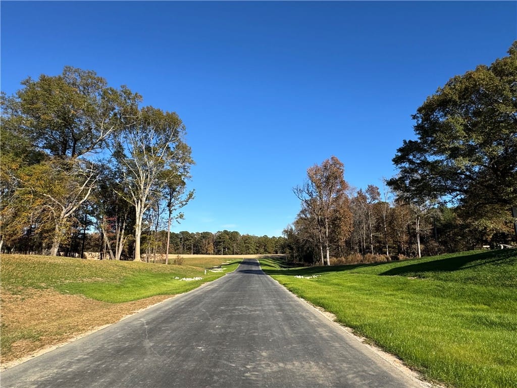 1020 HANSON FARMS, Auburn, AL, 36830, A private paved road winds through verdant clearin