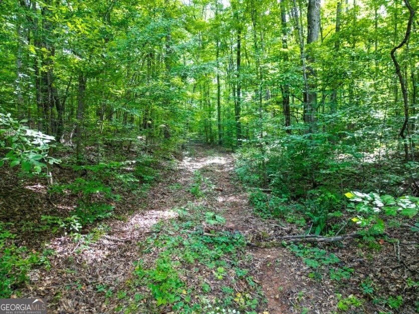 0 US-431, Roanoke, AL 36274