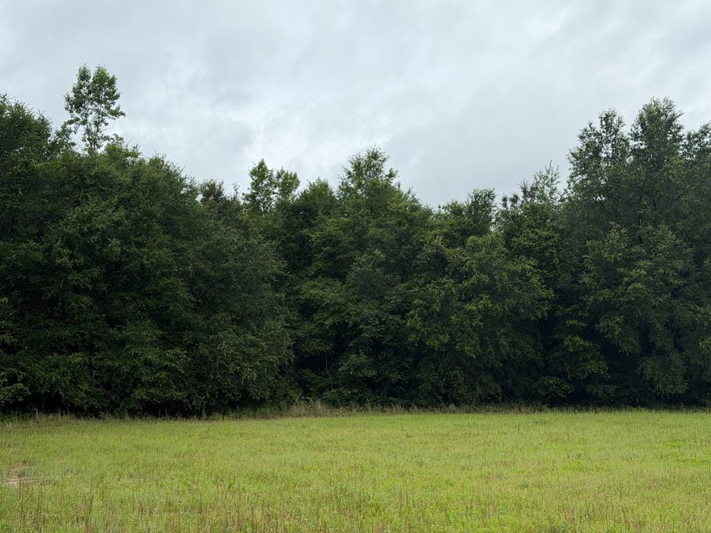 0000 Wilkie Mosley Road, Blakely, GA, 39823