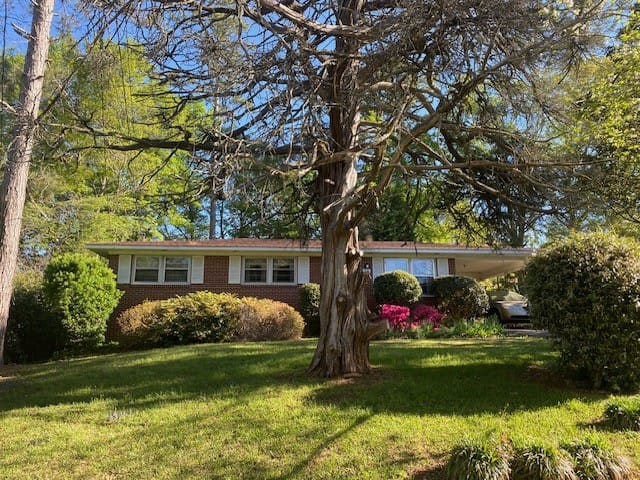 810 17TH, LANETT, AL, 36863 — Photo 3