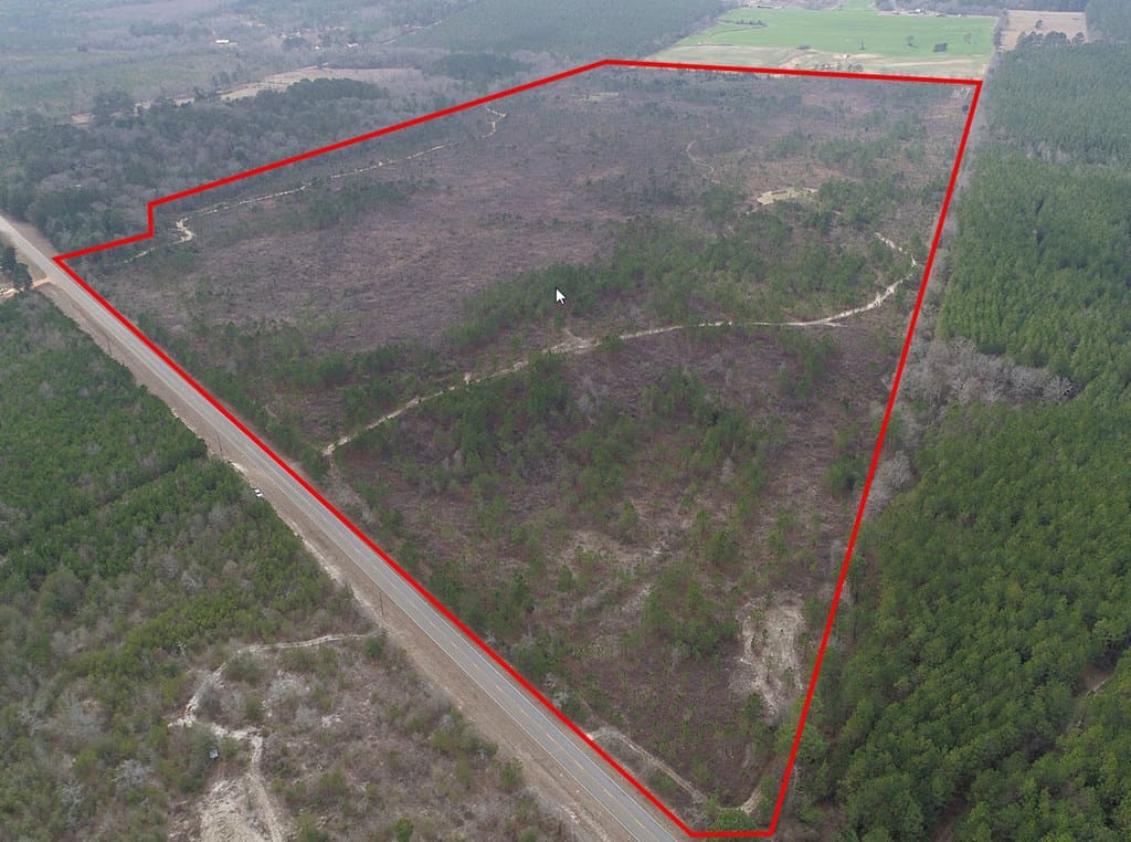 130.518 ac Ronnie Road, Buena Vista, GA, 31803 — Photo 2