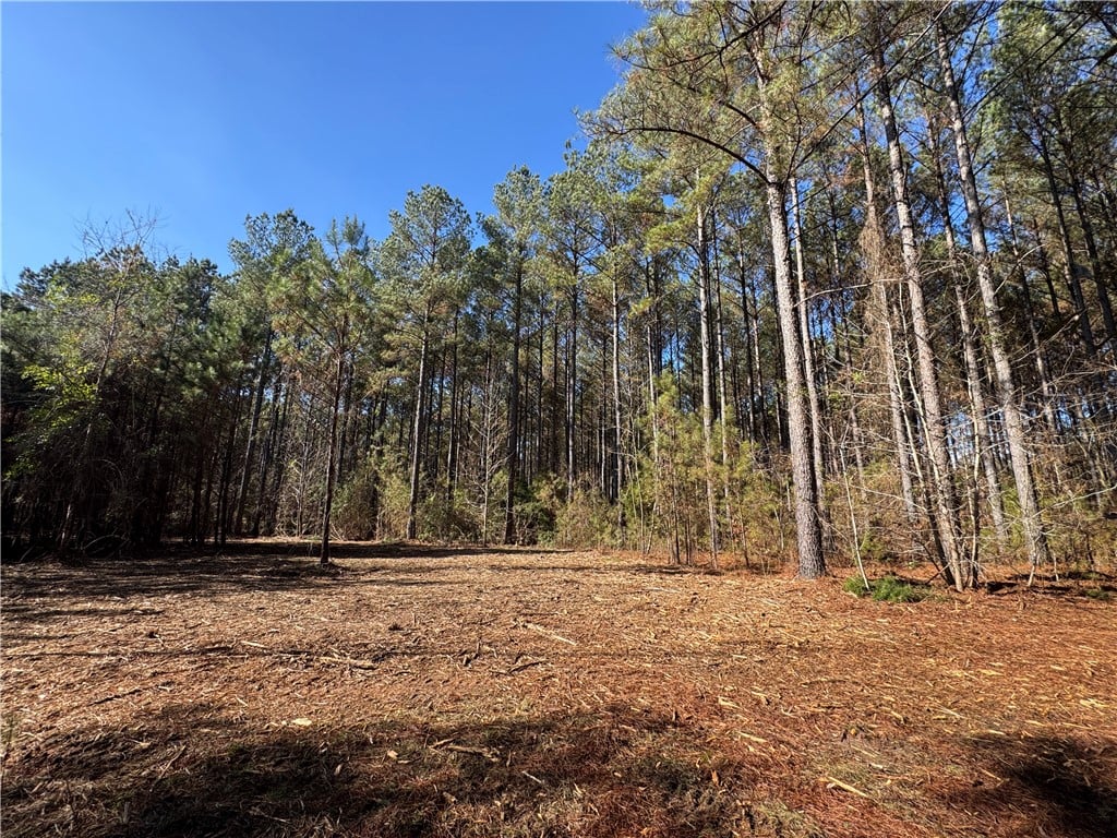 0 COUNTY ROAD 48, Lafayette, AL, 36862