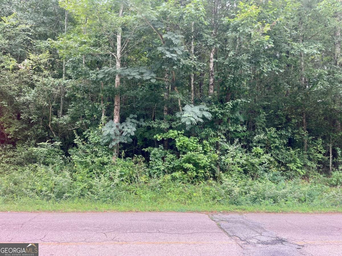 811 Askew Avenue, Hogansville, GA, 30230