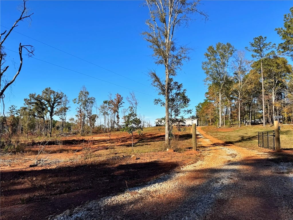 0 COUNTY ROAD 222, Lanett, AL, 36863 — Photo 3