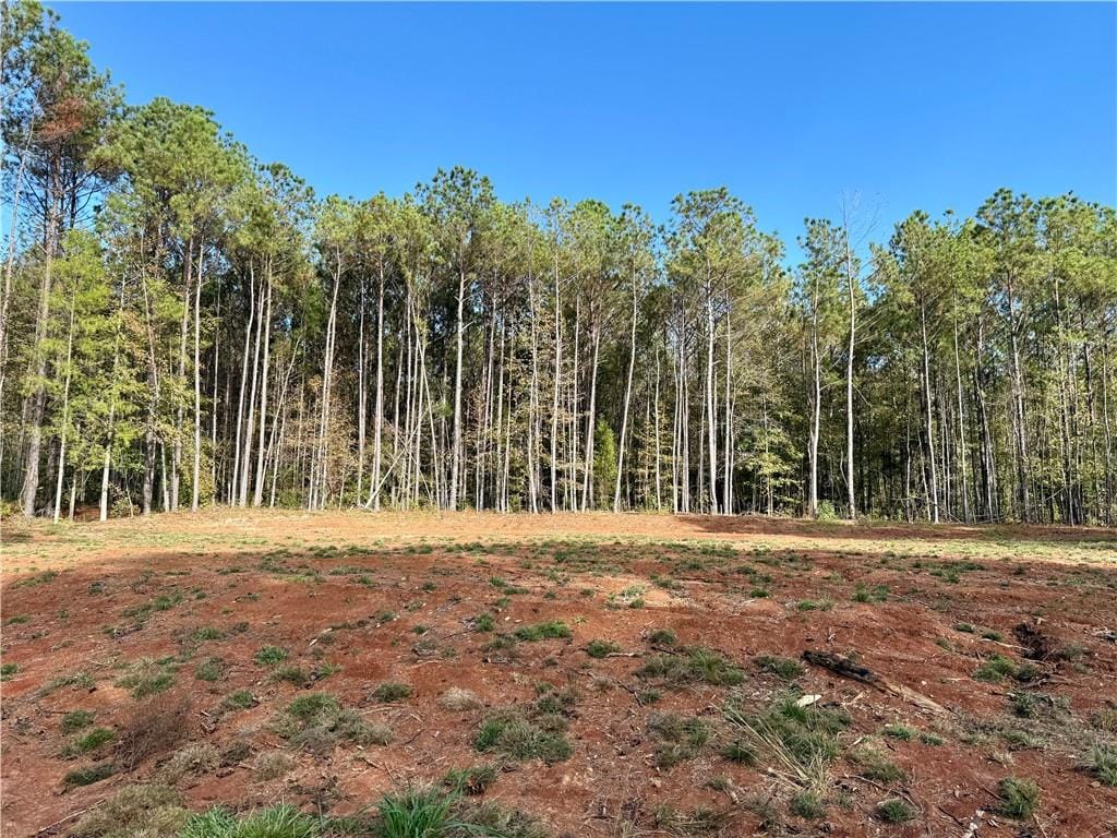 369 US HWY 169 South, Seale, AL, 36875 — Photo 2