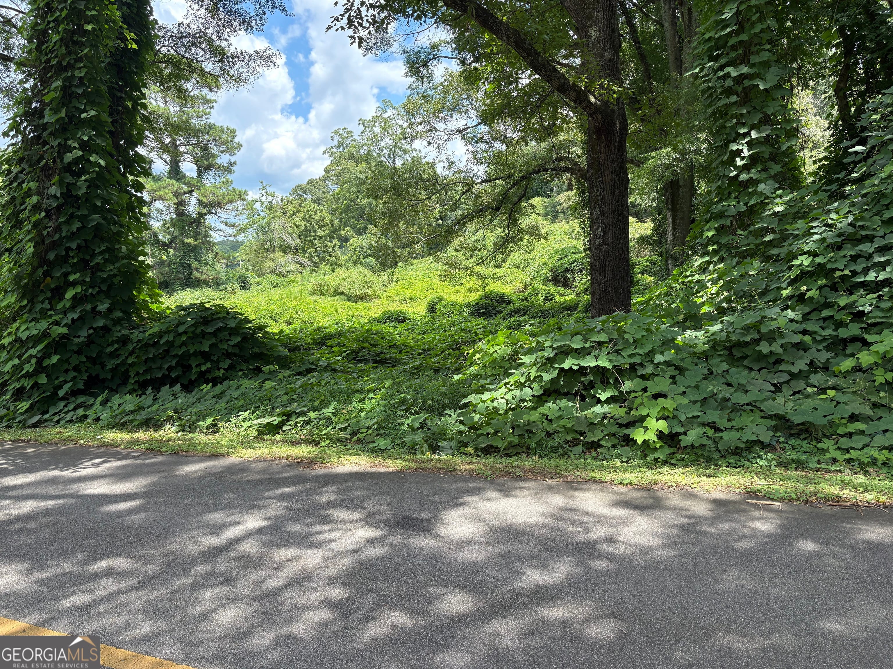 0 Pine Street, Hogansville, GA, 30230