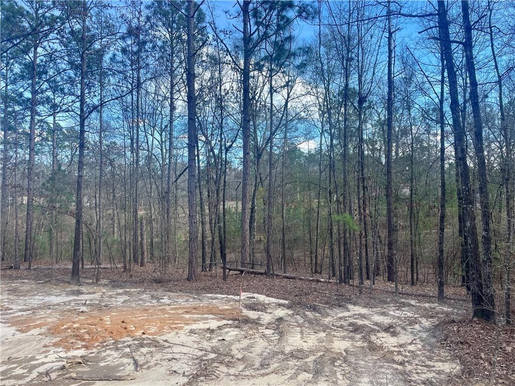 437 Tarver, Seale, AL, 36875 — Photo 3