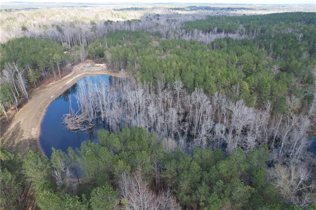 0 Al Hwy 169, Salem, AL, 36874