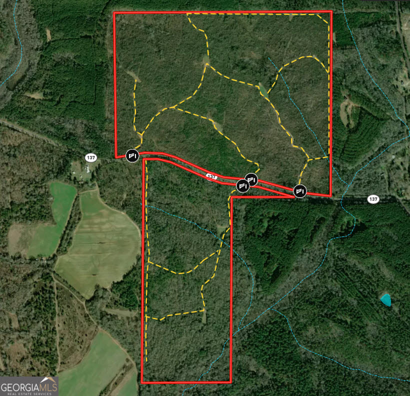 337+/- AC Hwy 137, Buena Vista, GA, 31803