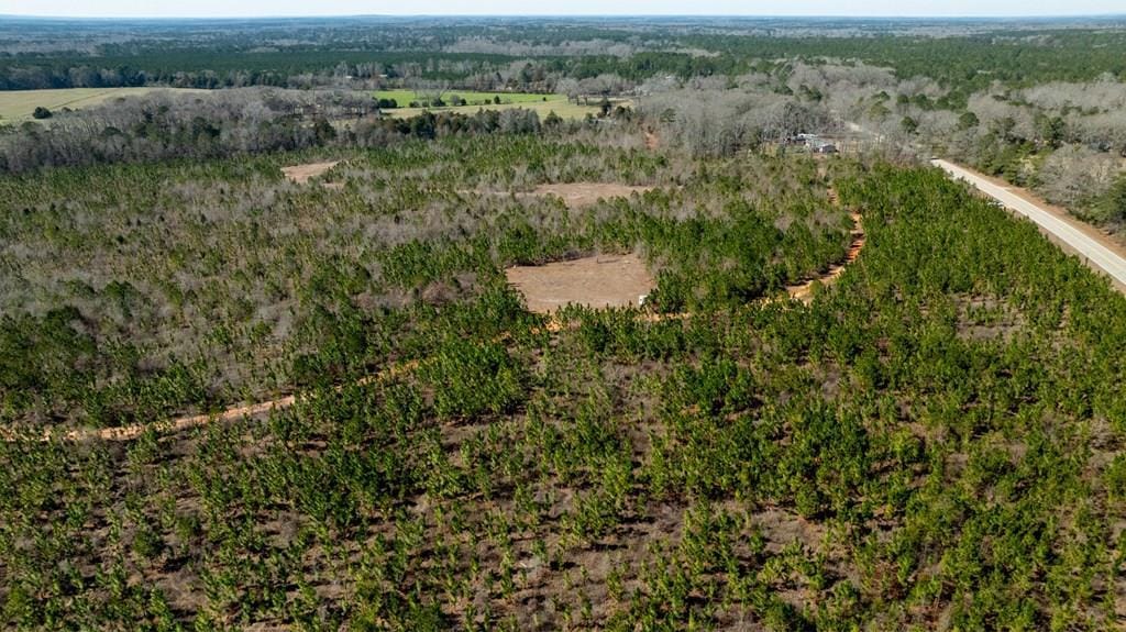 0 (Lot 3B) Highway 0018, Pine Mountain, GA, 31822