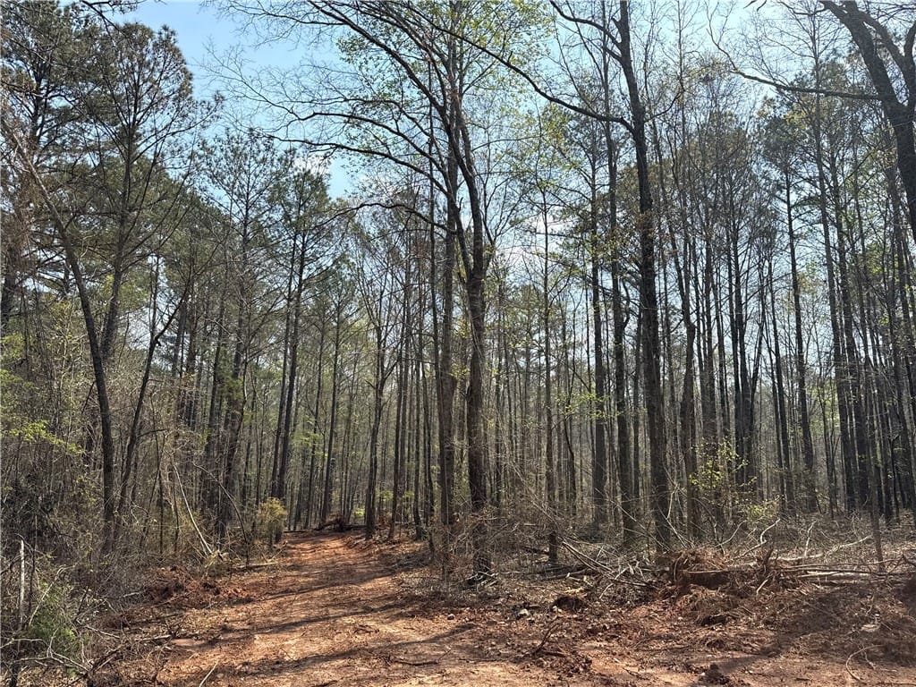 0 Heard Road, Camp Hill, AL, 36850
