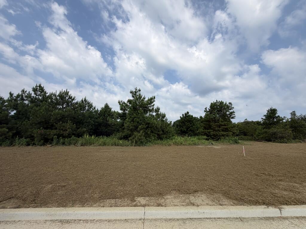 Lot 18 Homestead Lane, Smiths Station, AL, 36877