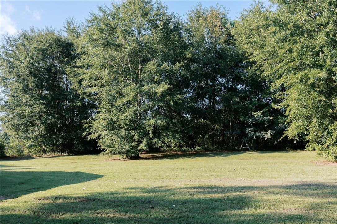 1092 Carol St, La Fayette, AL 36862, USA