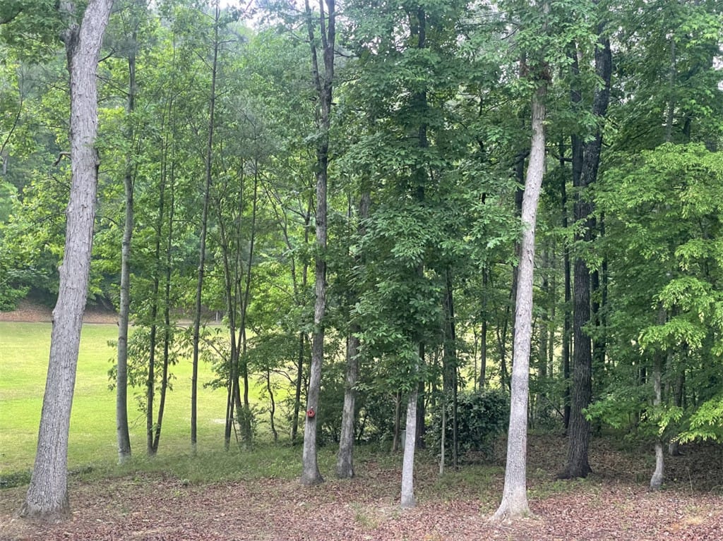 0 GREENVIEW, Dadeville, AL, 36853