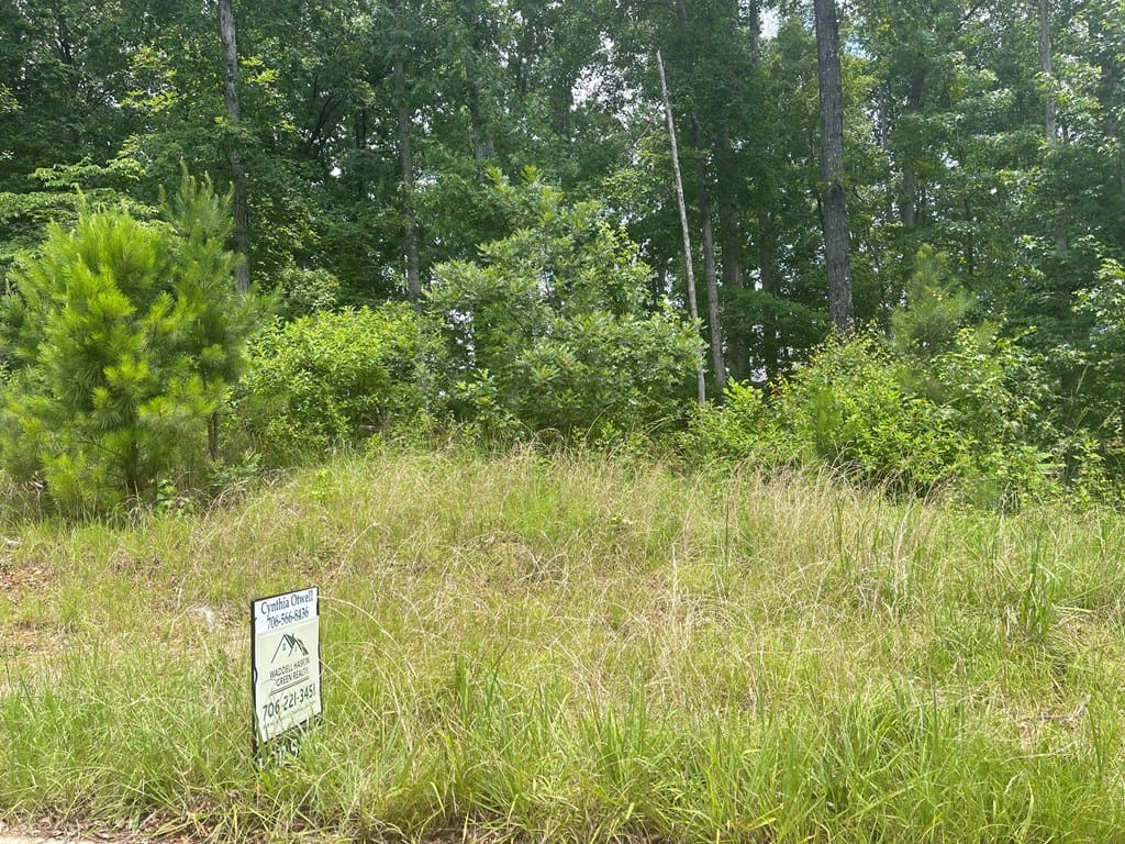 LOT 61 Boxwood Court, Midland, GA, 31820 — Photo 2