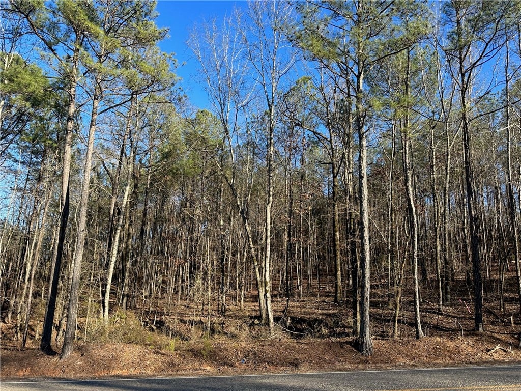 3942 LEE ROAD 183, Opelika, AL, 36804