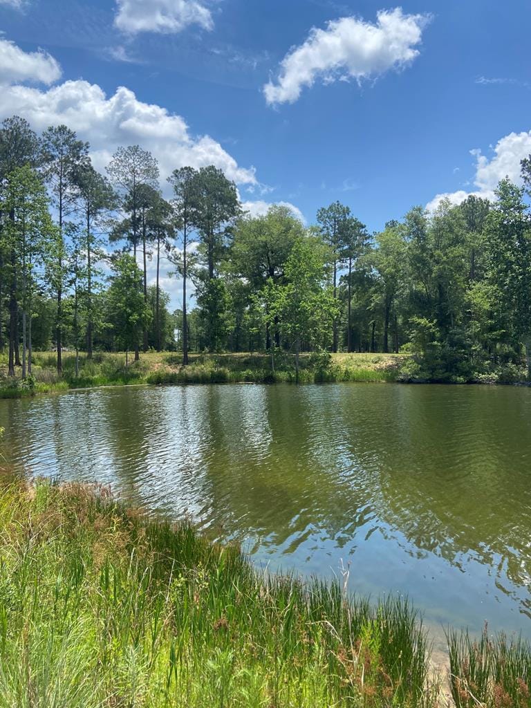 743 Northampton Rd, Leesburg, GA 31763, USA