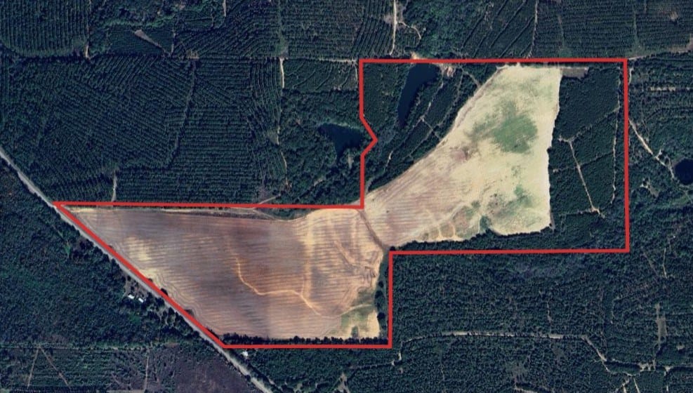 0 Georgia 41, Shellman, GA, 39886 — Photo 2