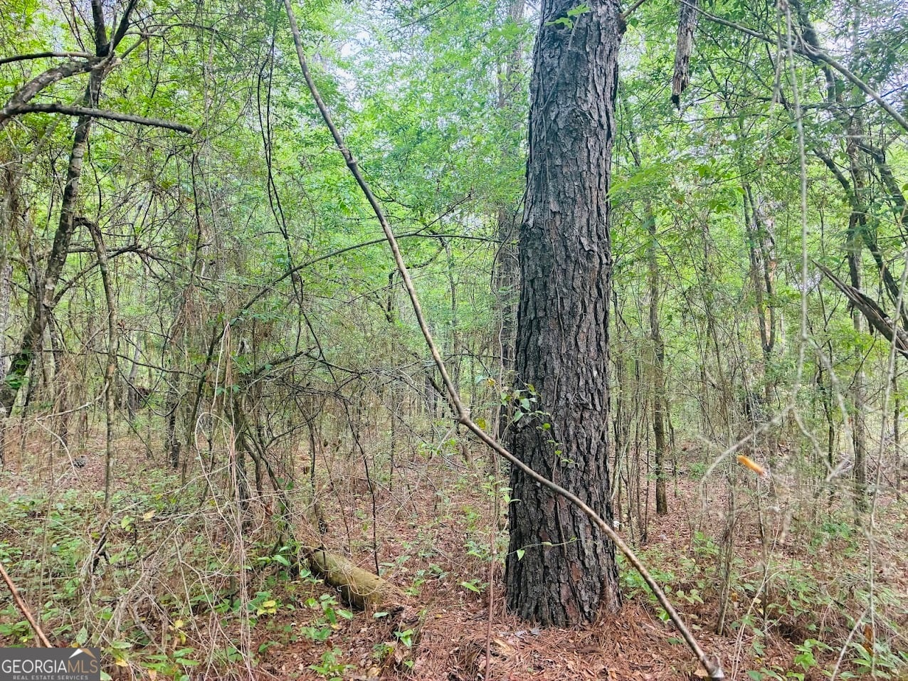 0 Wall Street #tract a, Tallassee, AL, 36078