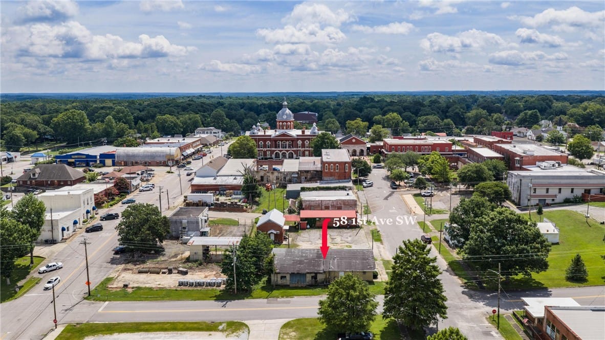 58 1st St NW, La Fayette, AL 36862, An aerial perspective reveals a quaint downtown ar