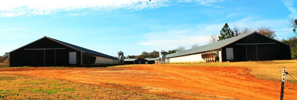 Address Not Disclosed, Pavo, GA, 31778