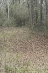 0 Myhand, Valley, AL, 36854