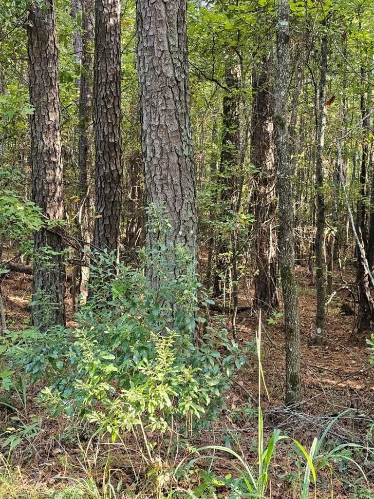 BLK 14 LOT 6 Quince Court, Waverly Hall, GA, 31831
