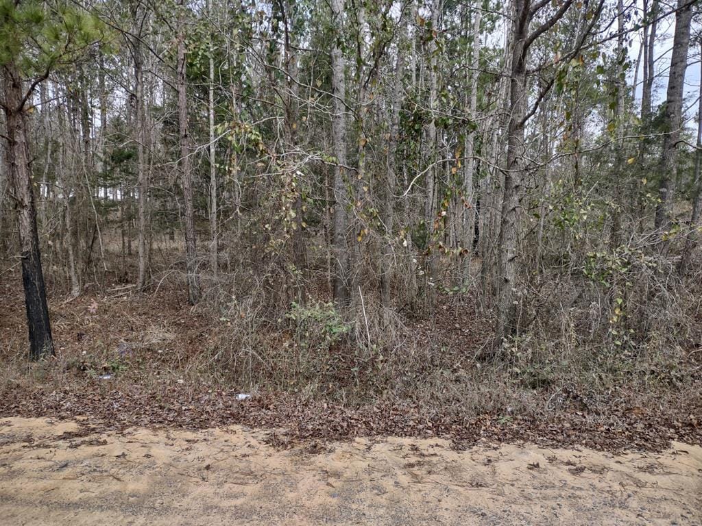 1667 Jimmy Wells Road, Ellaville, GA, 31806