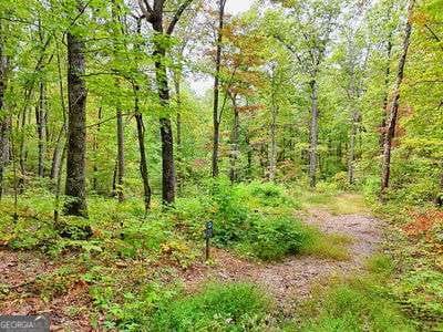 30 Skyview Drive, Hayesville, NC, 28904