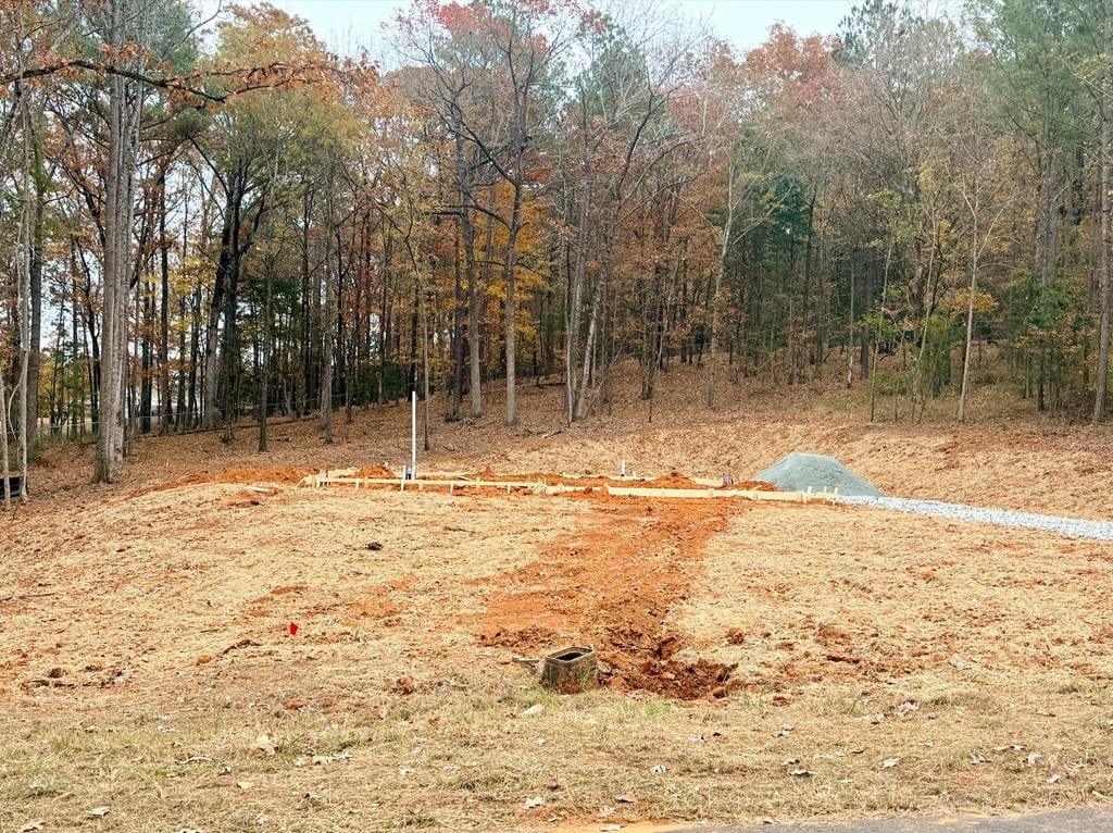 114 Rolling Meadows Way, Waverly Hall, GA 31831, USA