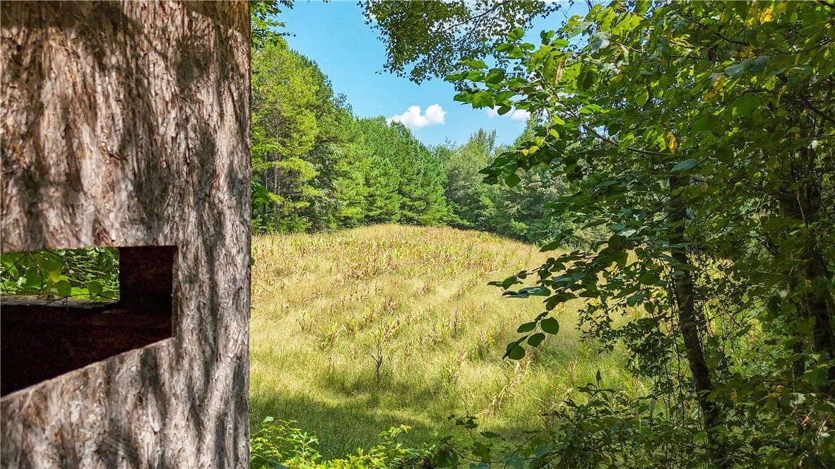 0 AL HIGHWAY 77, Roanoke, AL, 36274 — Photo 3