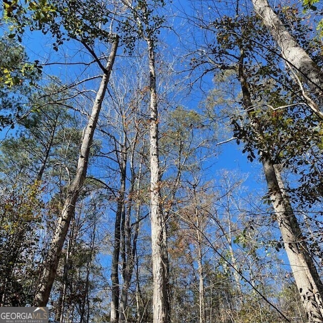 LOT B Pineville Road #100+/- acres, Buena Vista, GA, 31803