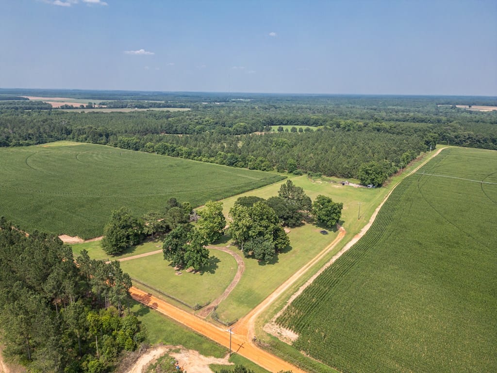 1590 George Perry Road, Parrot, GA, 39877 — Photo 2