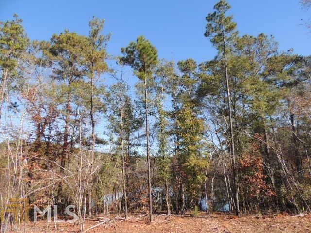 0 Mountain Dr #1, Hamilton, GA 31811