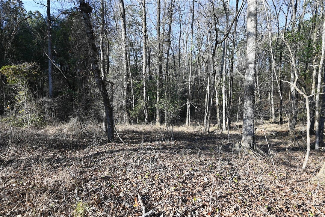 3775 RIDGELINE, Auburn, AL, 36830 — Photo 3