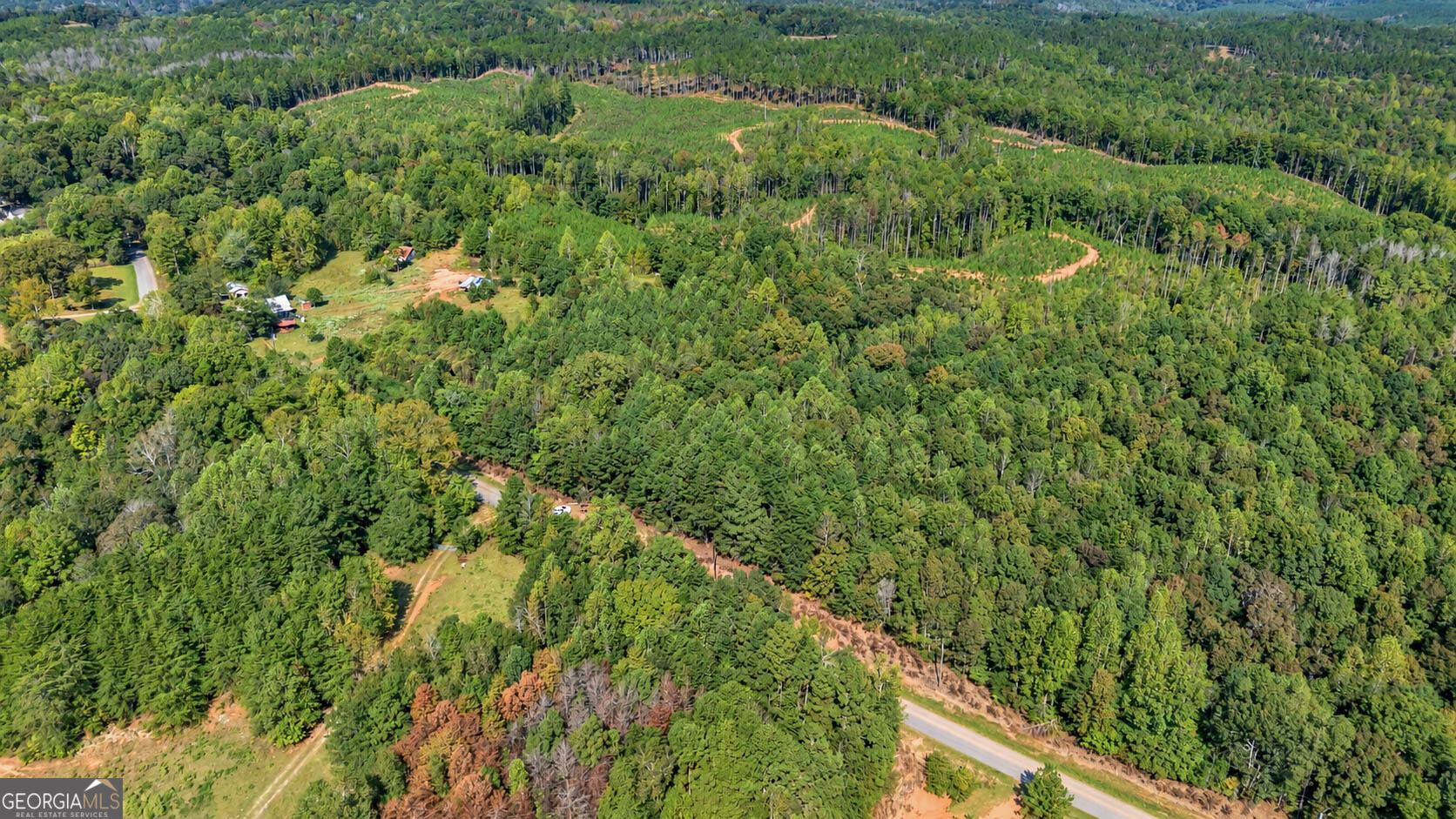 0 Lees Bridge Rd Tract 1, Delta, AL 36258