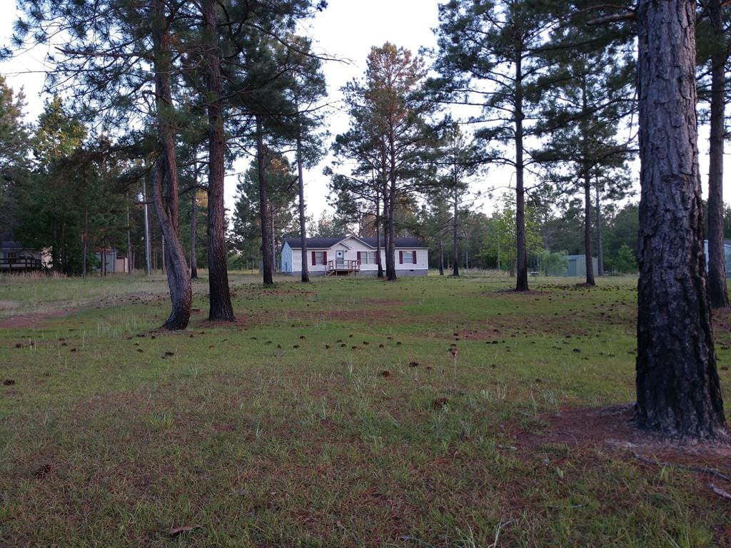 2044 Ft Perry Road, Box Springs, GA, 31801