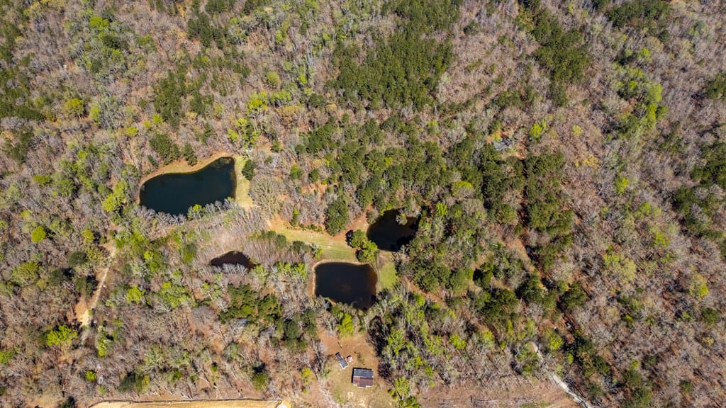 10477 Macon Road, Midland, GA, 31820 — Photo 3