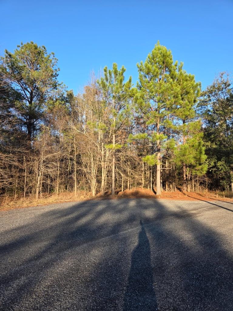 na Pine Trail, Sylvester, GA, 31791