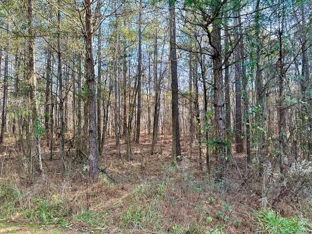 13 Oak Ridge Drive, Waverly Hall, GA, 31831