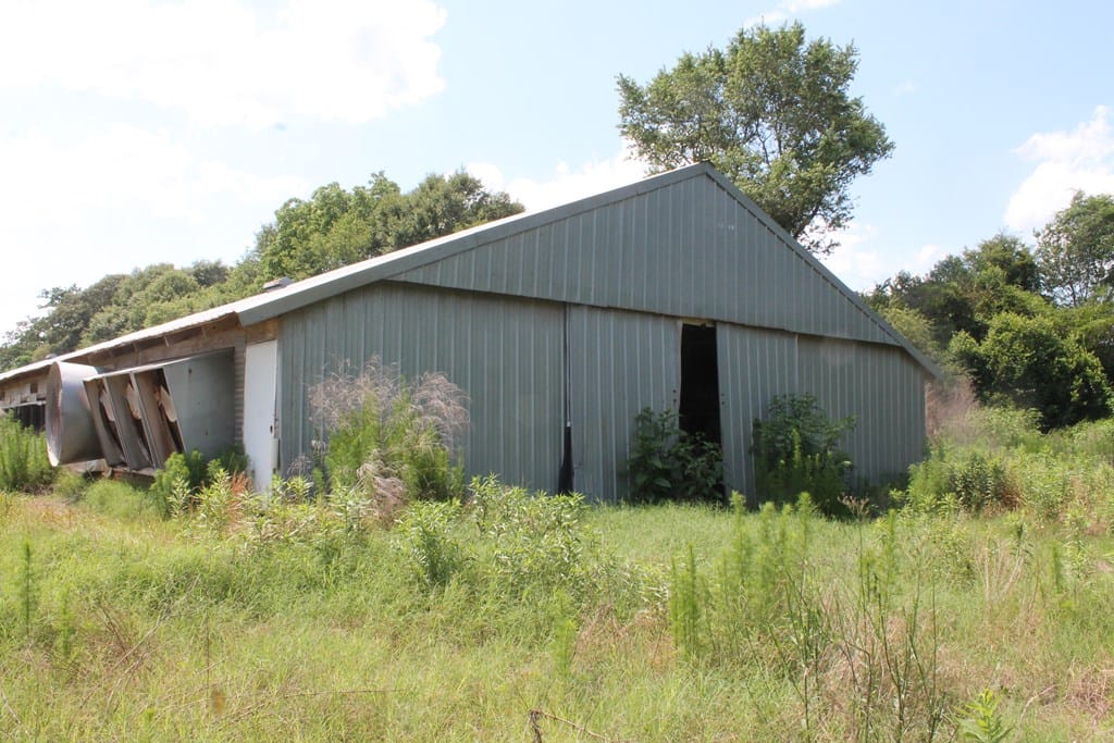 502 Arch Helms Road, Americus, GA, 31719 — Photo 3