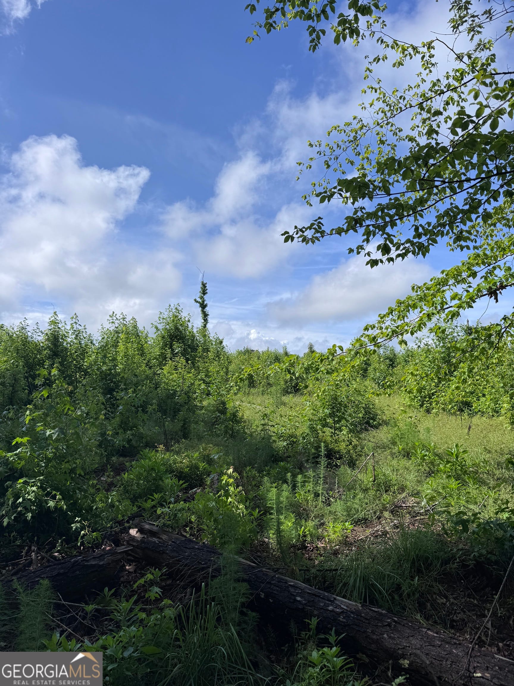 0 Po Biddy Rd, Talbotton, GA 31827