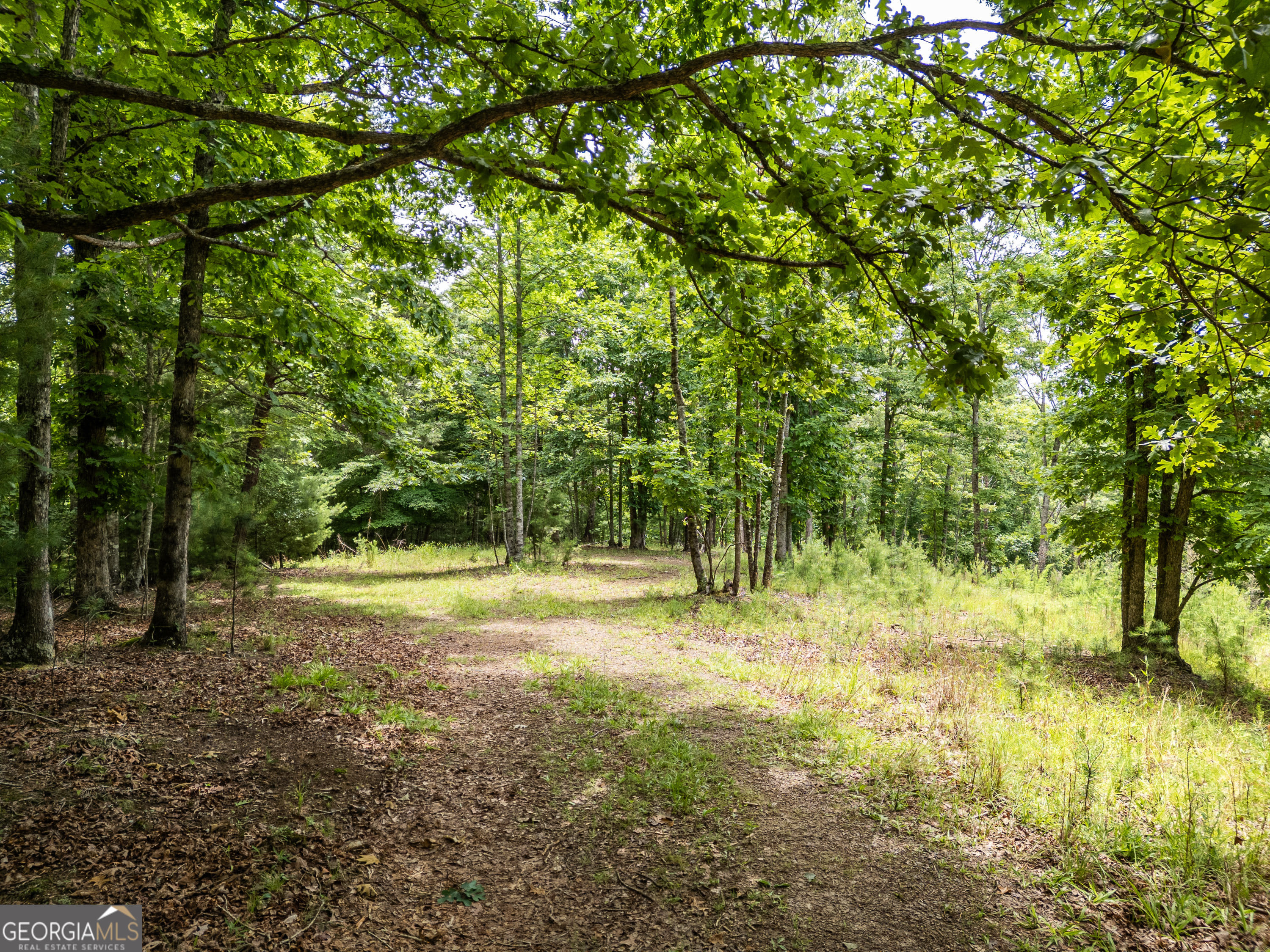 2 Stormy Ridge, Brasstown, NC, 28902