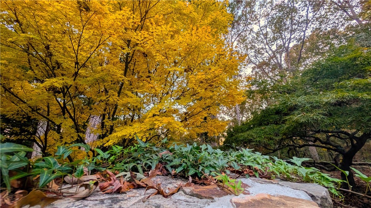 95 LEE ROAD 827, Opelika, AL, 36804 — Photo 3